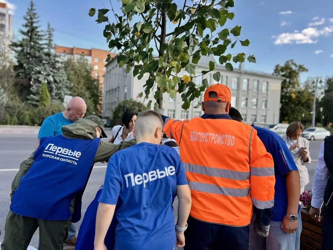 Главную улицу Курска украсили липами Главную улицу Курска украсили липами