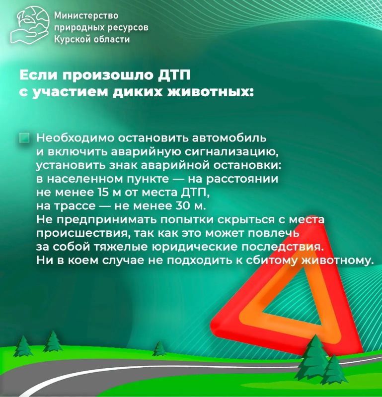 Во избежание столкновений с диким животным необходимо быть крайне осторожными, соблюдать скоростной режим в целом, но особенно на участках дорог, расположенных рядом с лесом и в зоне действия специальных дорожных знаков 1.27... Во избежание столкновений с диким животным необходимо быть крайне осторожными, соблюдать скоростной режим в целом, но особенно на участках дорог, расположенных рядом с лесом и в зоне действия специальных дорожных знаков 1.27...