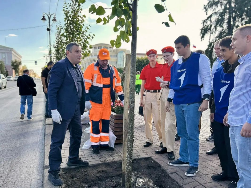 Главную улицу Курска украсили липами Главную улицу Курска украсили липами