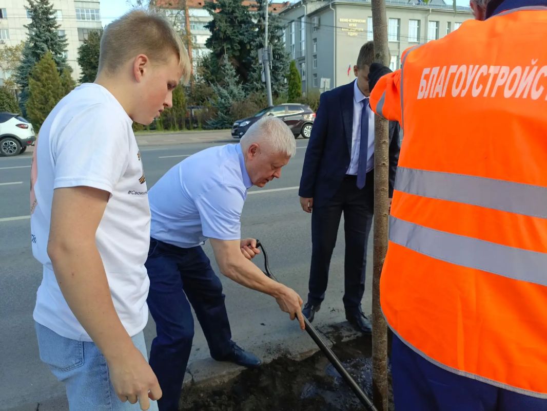 На улице Ленина в Курске высадили 16 лип На улице Ленина в Курске высадили 16 лип