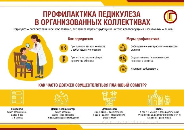 Педикулёз - распространённое паразитарное заболевание, вызываемое мелкими кровососущими насекомыми - вшами