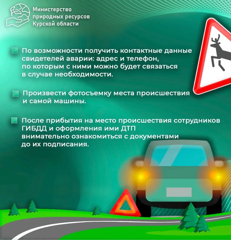 Во избежание столкновений с диким животным необходимо быть крайне осторожными, соблюдать скоростной режим в целом, но особенно на участках дорог, расположенных рядом с лесом и в зоне действия специальных дорожных знаков 1.27... Во избежание столкновений с диким животным необходимо быть крайне осторожными, соблюдать скоростной режим в целом, но особенно на участках дорог, расположенных рядом с лесом и в зоне действия специальных дорожных знаков 1.27...