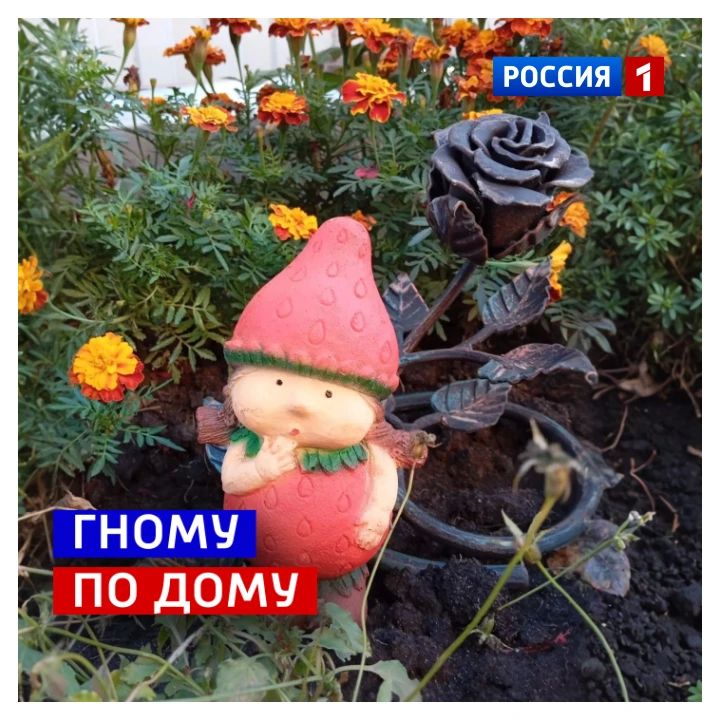 17 сентября, четверг. Сегодня Международный день гнома