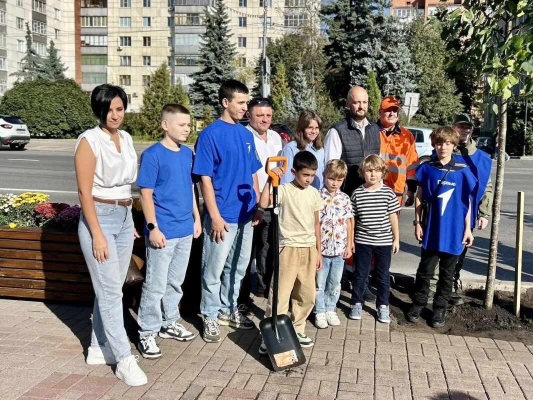 Главную улицу Курска украсили липами Главную улицу Курска украсили липами
