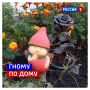 17 сентября, четверг. Сегодня Международный день гнома
