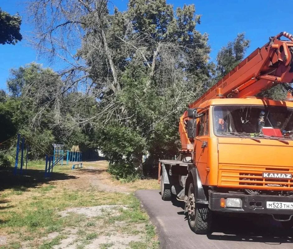 Спасатели Курска продолжают убирать аварийные деревья Спасатели Курска продолжают убирать аварийные деревья