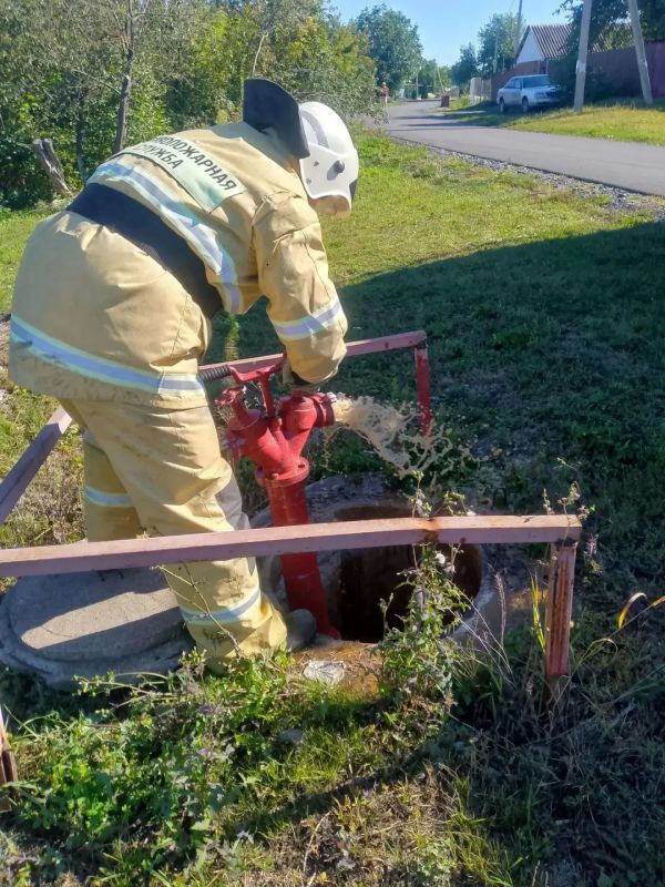Оценка готовности гидрантов в Железногорском и Солнцевском районах Оценка готовности гидрантов в Железногорском и Солнцевском районах