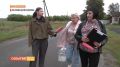 Отдать свой голос, не выходя из дома