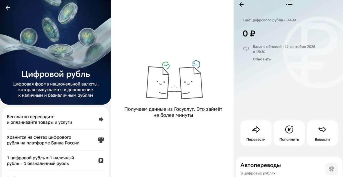 Пожилые россияне в опасности: как мошенники используют цифровые рубли для наживы