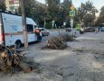 Аварийно-спасательное формирование управления ГО и ЧС Курска в ежедневном режиме продолжают снос и опилку аварийных деревьев