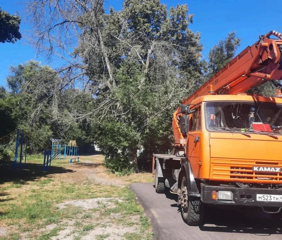 Аварийно-спасательное формирование управления ГО и ЧС Курска в ежедневном режиме продолжают снос и опилку аварийных деревьев Аварийно-спасательное формирование управления ГО и ЧС Курска в ежедневном режиме продолжают снос и опилку аварийных деревьев