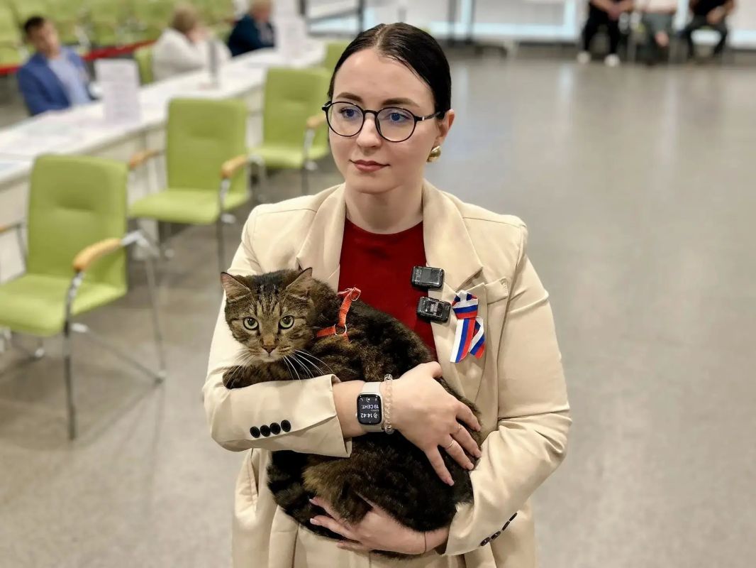 На одном из курских избирательных участков работает необычный сотрудник — кот по кличке Тони На одном из курских избирательных участков работает необычный сотрудник — кот по кличке Тони
