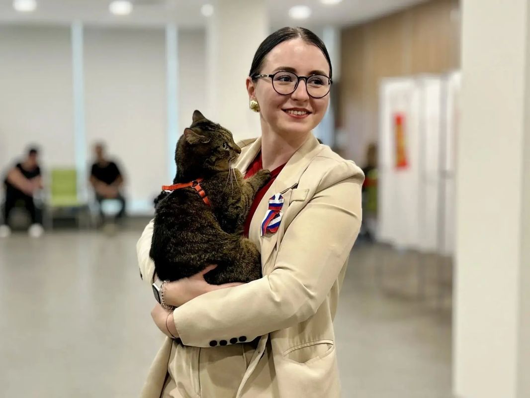 На одном из курских избирательных участков работает необычный сотрудник — кот по кличке Тони На одном из курских избирательных участков работает необычный сотрудник — кот по кличке Тони