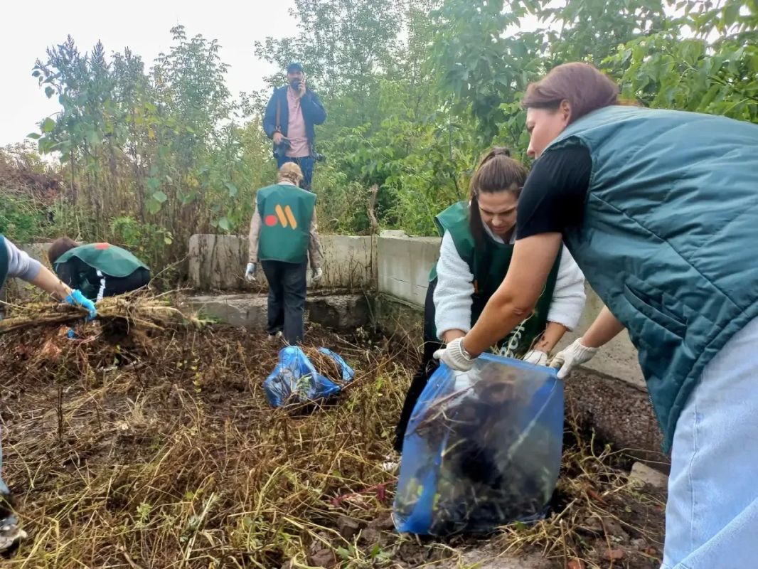 В Курске прошел городской субботник, приуроченный ко Всероссийскому дню чистоты В Курске прошел городской субботник, приуроченный ко Всероссийскому дню чистоты