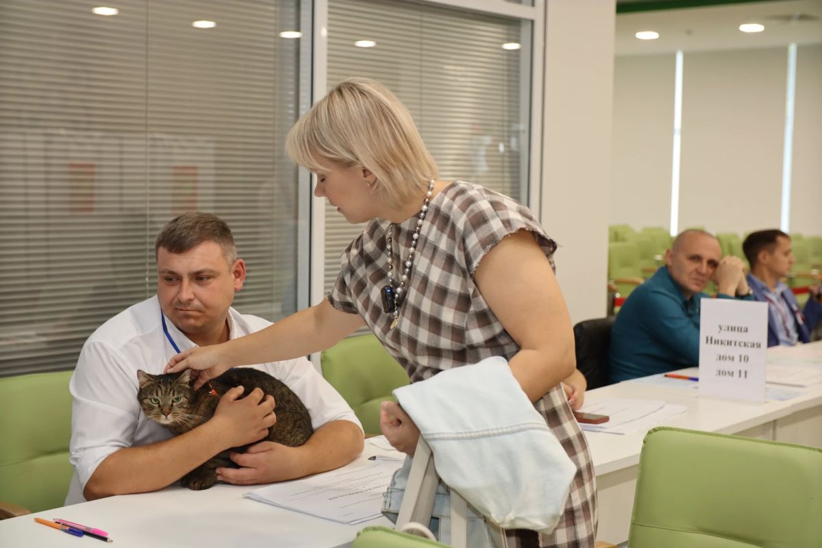 Кот Тони на посту, необычный талисман участка № 86 в Курске Кот Тони на посту, необычный талисман участка № 86 в Курске