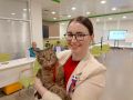На избирательном участке в Курске работает кот Тони