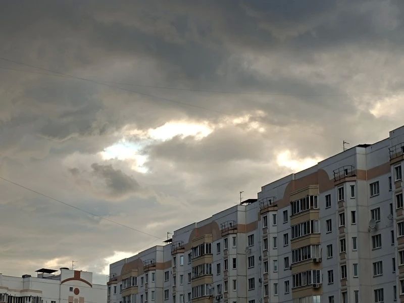 До +25 градусов и без осадков ожидается в Курской области 20 сентября