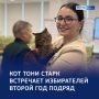 Лапки на страже выбора: Тони выполняет свою мур-миссию