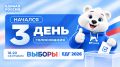 Более 370 тысяч курян проголосовали на выборах