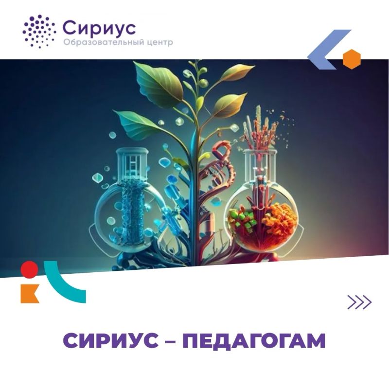 Образовательный центр «Сириус» приглашает педагогов на программы повышения квалификации
