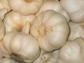Как питаться для здоровья сердца: 5 простых продуктов для долголетия