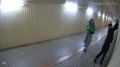 Хинштейн намерен бить курских вандалов рублем: вместо "душеспасительных бесед" установят камеры