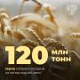 Уборочная кампания в стране идет высокими темпами