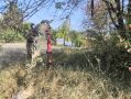 �������� ��������� ���������������� ������������� �� ���������� ����������� � ���������� �������