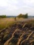 Огнеборцы ПЧ Рыльского района на тушении сухой растительности