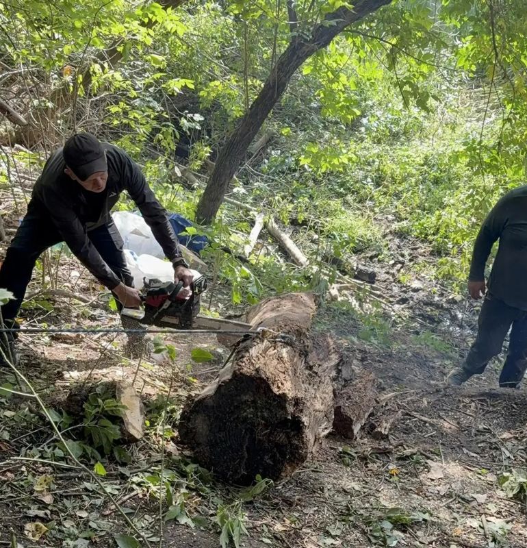 На реке Сейм прошла акция «Вода России» На реке Сейм прошла акция «Вода России»