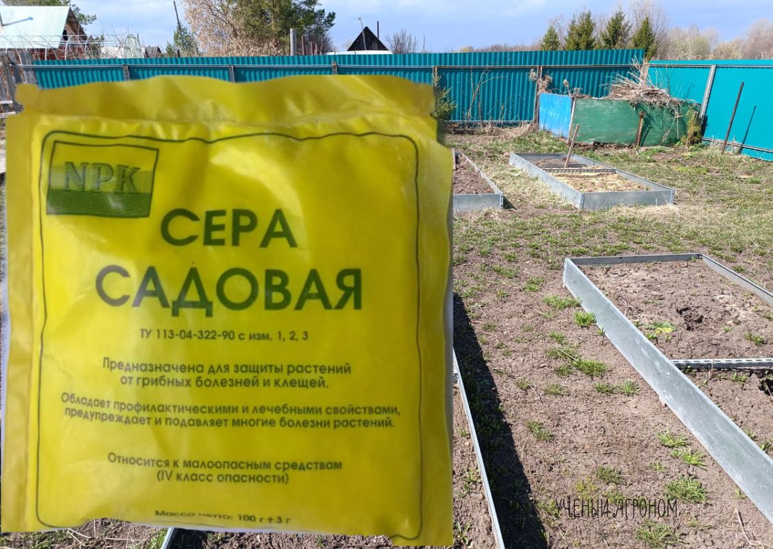 Почему сера — секретный ингредиент для богатого урожая овощей