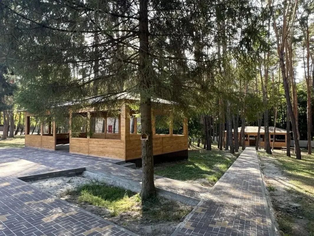 Курские школьники могут получить путвку в санаторий Курские школьники могут получить путвку в санаторий