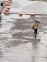 В Курской области МЧС выпустило штормовое предупреждение