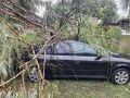 Последствия непогоды в Курске: глава города Евгений Маслов рассказал о ситуации