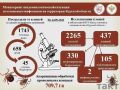 В Курской области зафиксировано 45 случаев клещевого боррелиоза