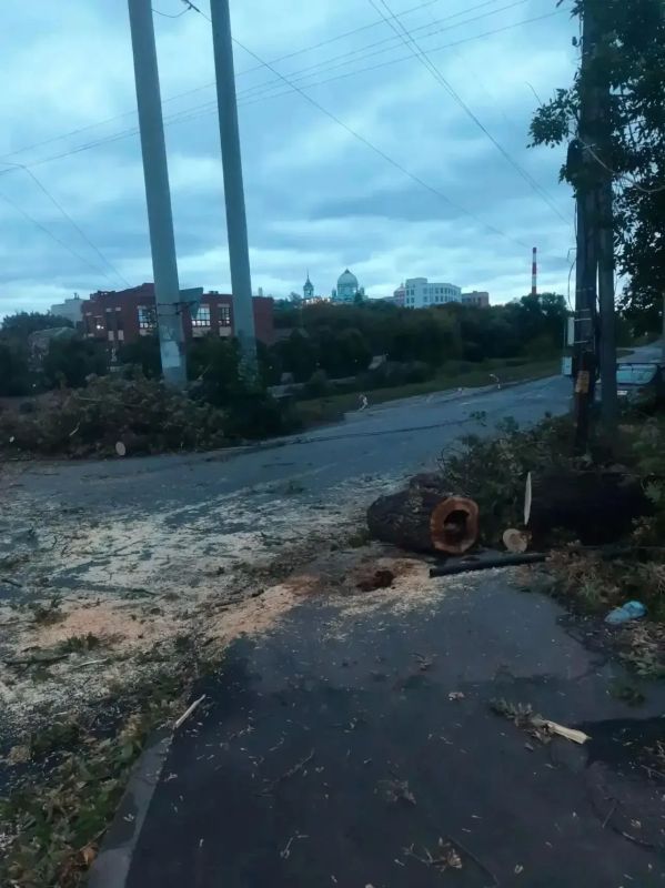 В Курске от ветра упали 12 деревьев, повреждены автомобили, обесточены несколько улиц В Курске от ветра упали 12 деревьев, повреждены автомобили, обесточены несколько улиц