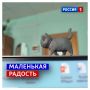 24 сентября, четверг. В некоторых календарях этот день подписан как «Фестиваль безделушек»