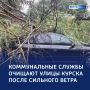 В Курске ликвидируют последствия ночной непогоды