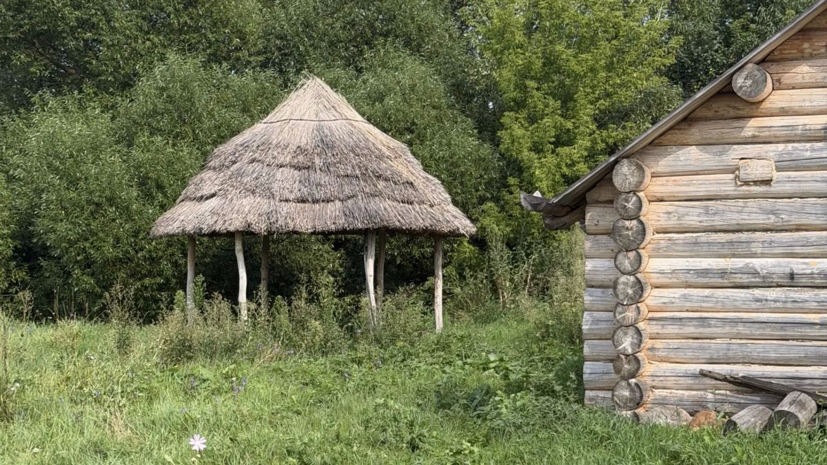 Реконструкция, история и традиции в селе Тазово Реконструкция, история и традиции в селе Тазово