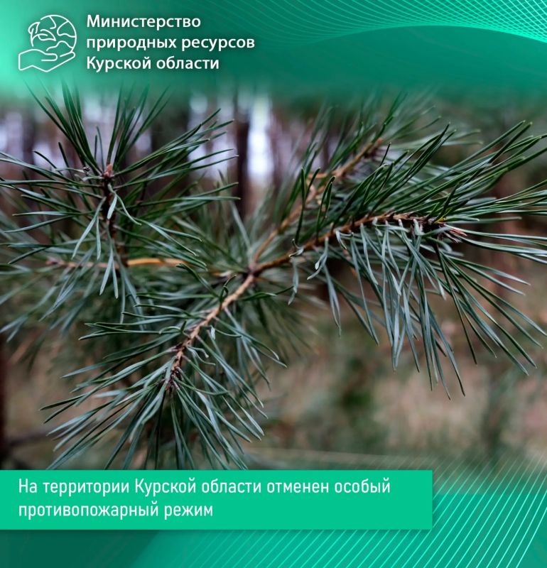 На территории Курской области отменен особый противопожарный режим