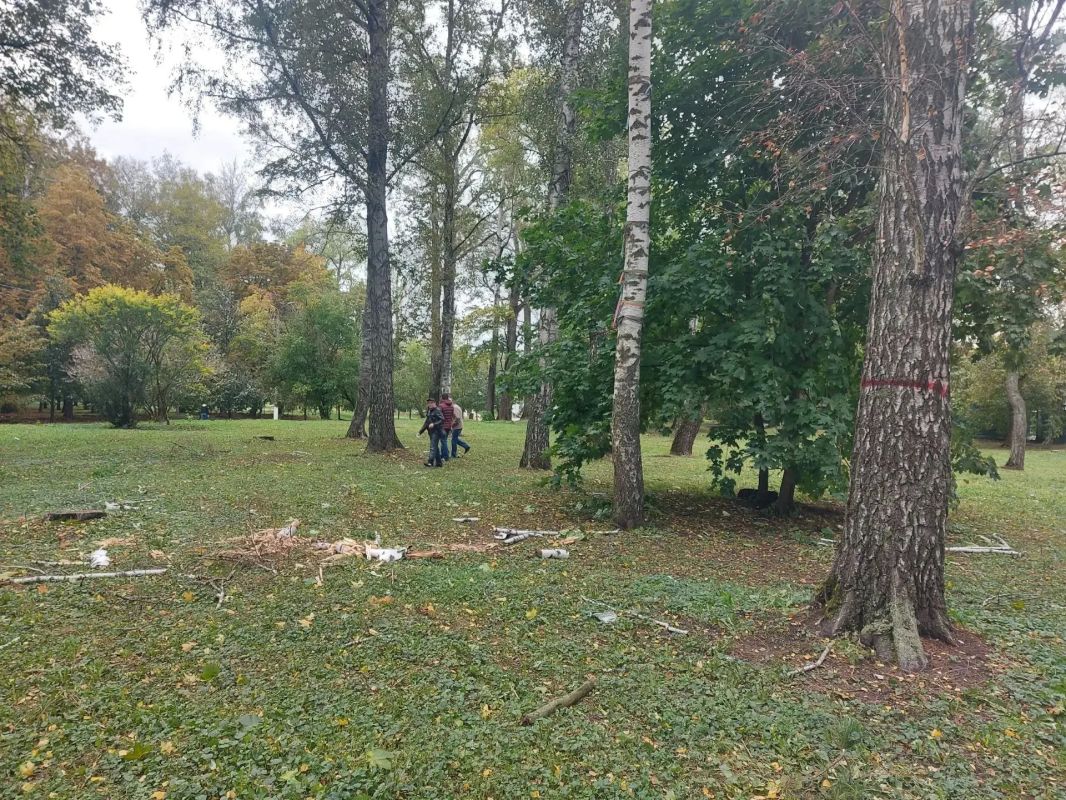 В парке «Боева дача» устраняют последствия непогоды