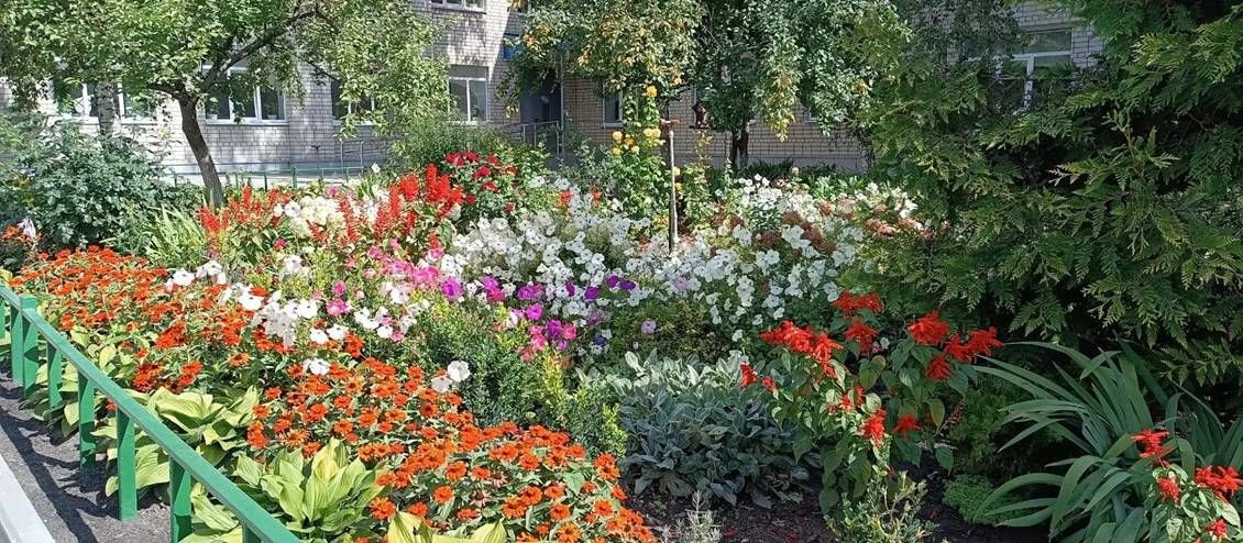 Игорь Корпунков: Подвели итоги традиционного городского конкурса «Курчатов - цветущий город» Игорь Корпунков: Подвели итоги традиционного городского конкурса «Курчатов - цветущий город»