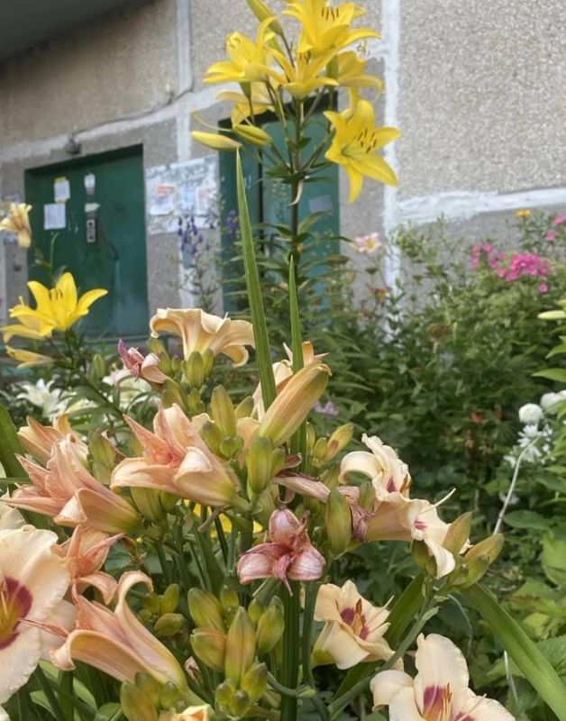 Игорь Корпунков: Подвели итоги традиционного городского конкурса «Курчатов - цветущий город» Игорь Корпунков: Подвели итоги традиционного городского конкурса «Курчатов - цветущий город»