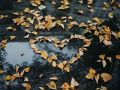 Доброе утро!. Пасмурно, +15°C, дождя не обещают — прогноз на сегодня