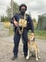 Пес Рыжик пришел на службу в полицию в Курской области