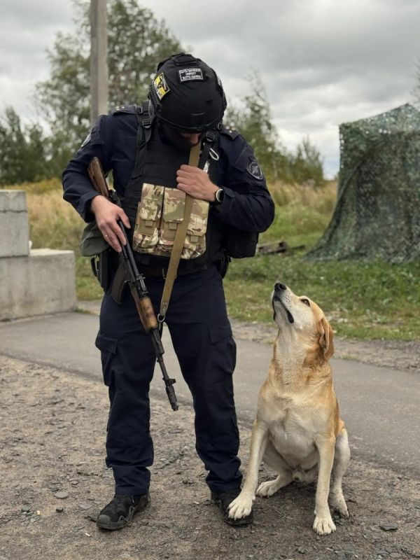 Пес Рыжик пришел на службу в полицию в Курской области Пес Рыжик пришел на службу в полицию в Курской области