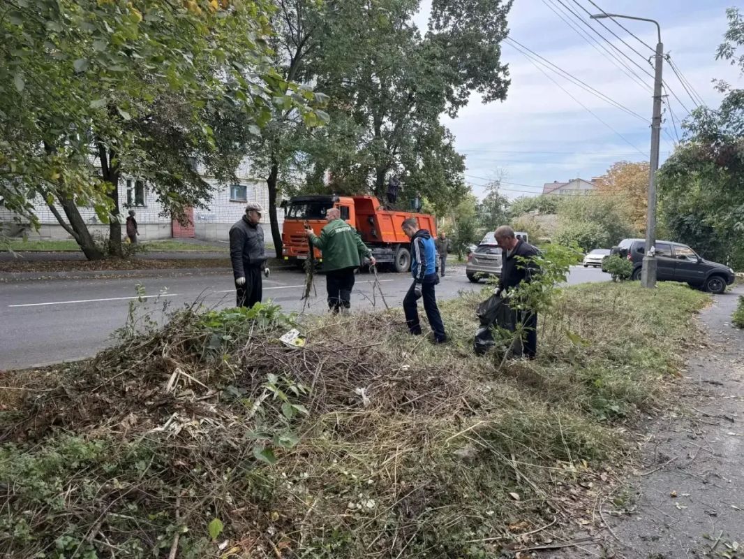 Субботник в Центральном округе Субботник в Центральном округе