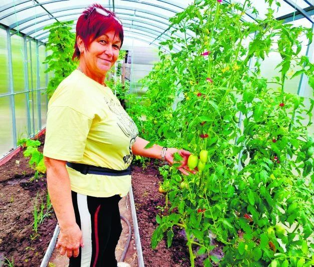 Южный красавец на курских чернозёмах Южный красавец на курских чернозёмах