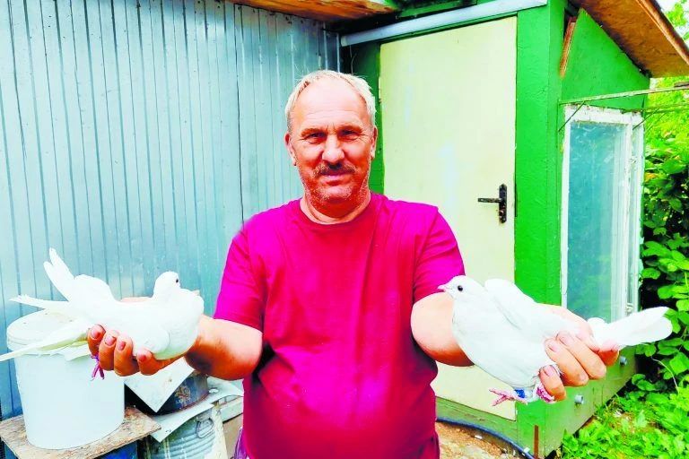 Южный красавец на курских чернозёмах Южный красавец на курских чернозёмах
