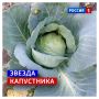 27 сентября, воскресенье. Сегодня православные отмечают Воздвижение Честного и Животворящего Креста Господня